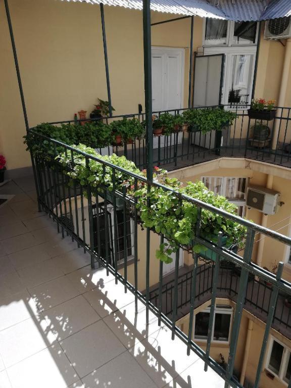 Oaza 26 Deo 2 Διαμέρισμα Βελιγράδι Εξωτερικό φωτογραφία
